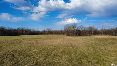 Vacant Land For Sale - 11339 Plumville Road<br/> Williamson County, Marion, IL 62959