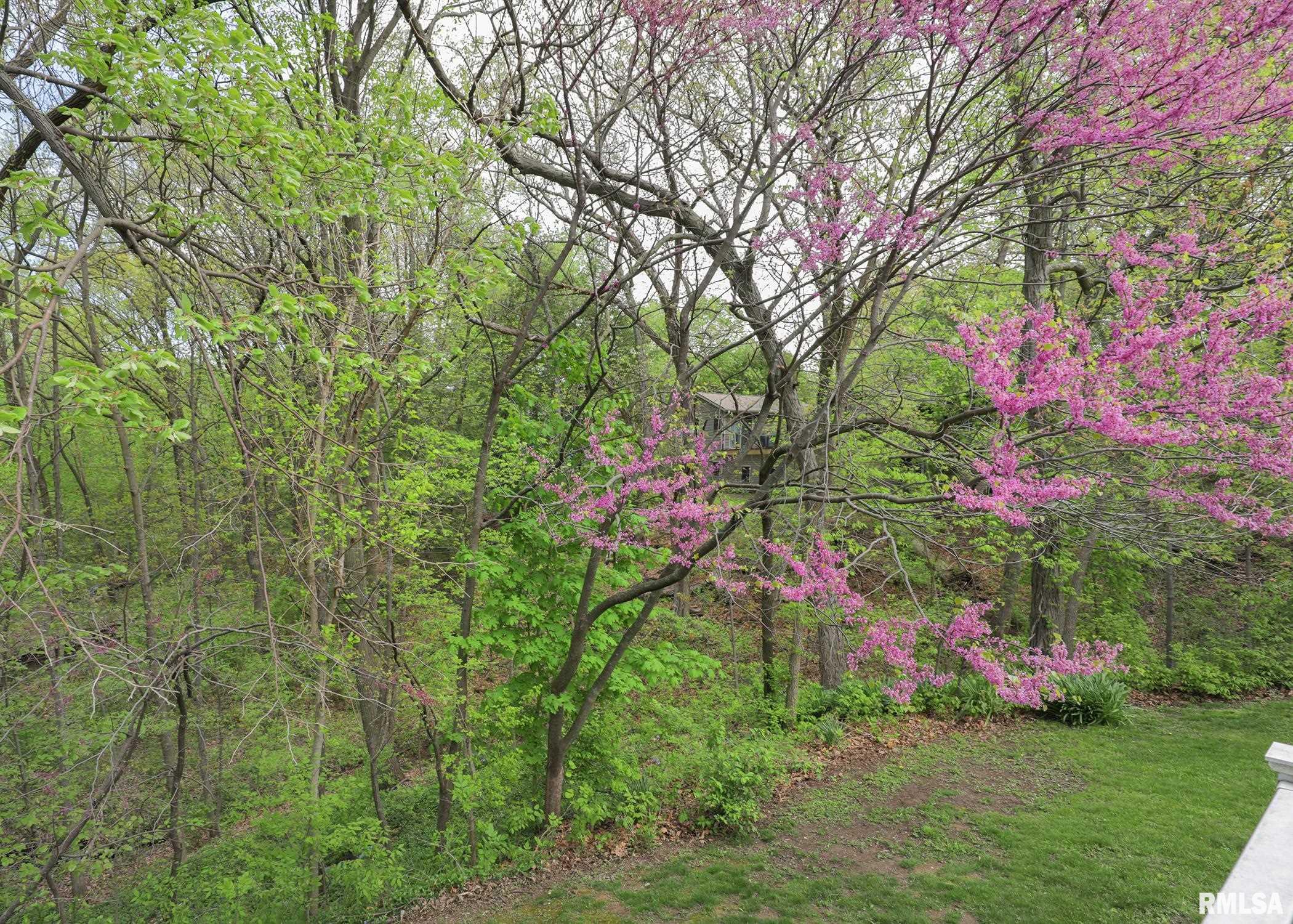 2705 34th Avenue Court, Rock Island, Illinois image 33