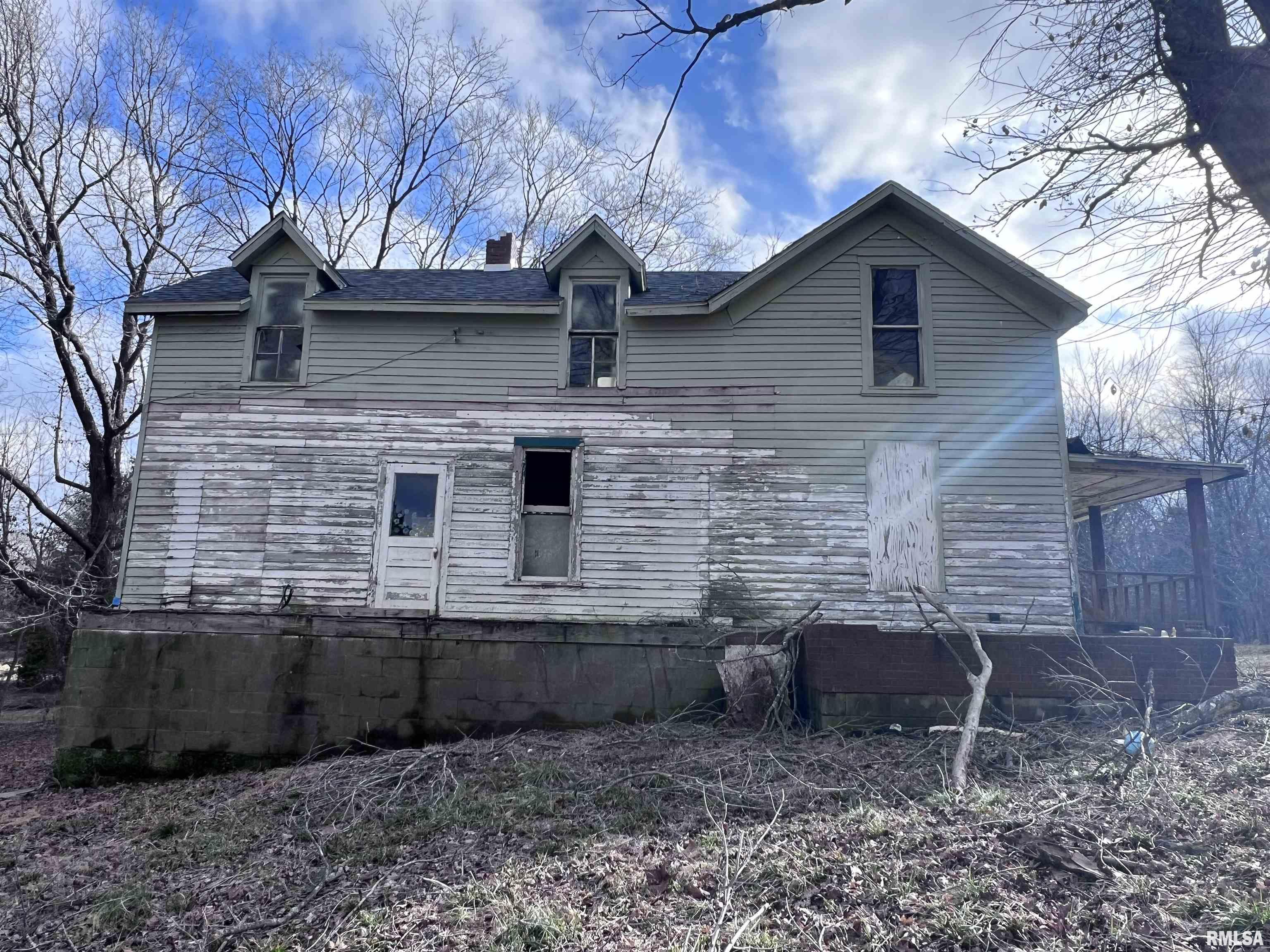 315 Vines Road, Cobden, Illinois image 7