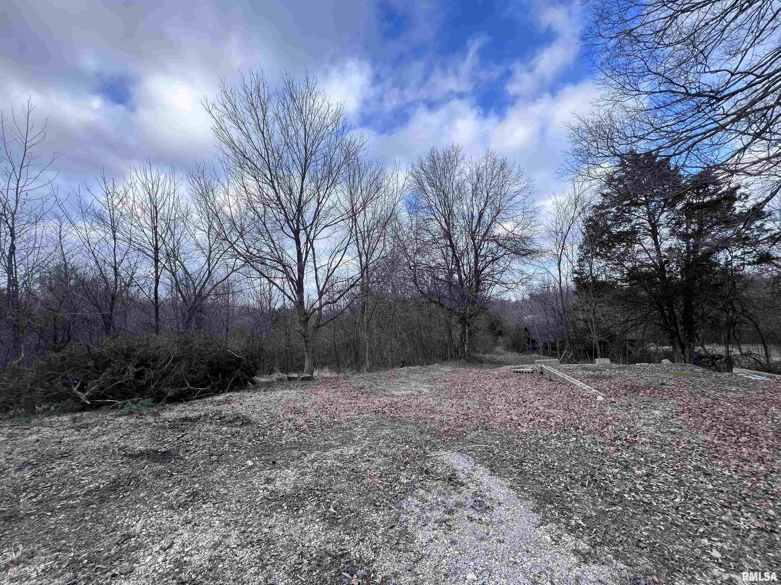 315 Vines Road, Cobden, Illinois image 22