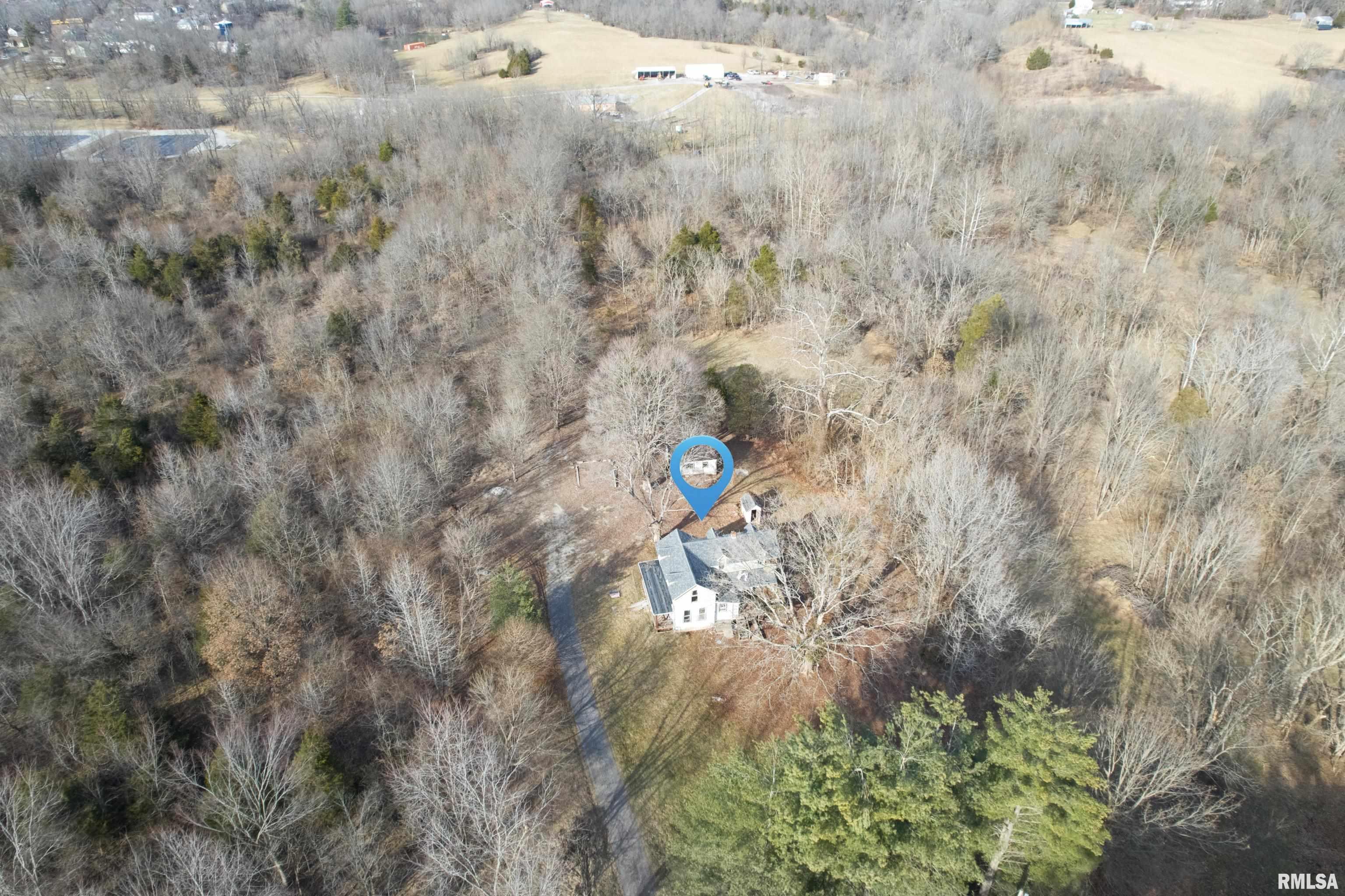 315 Vines Road, Cobden, Illinois image 3