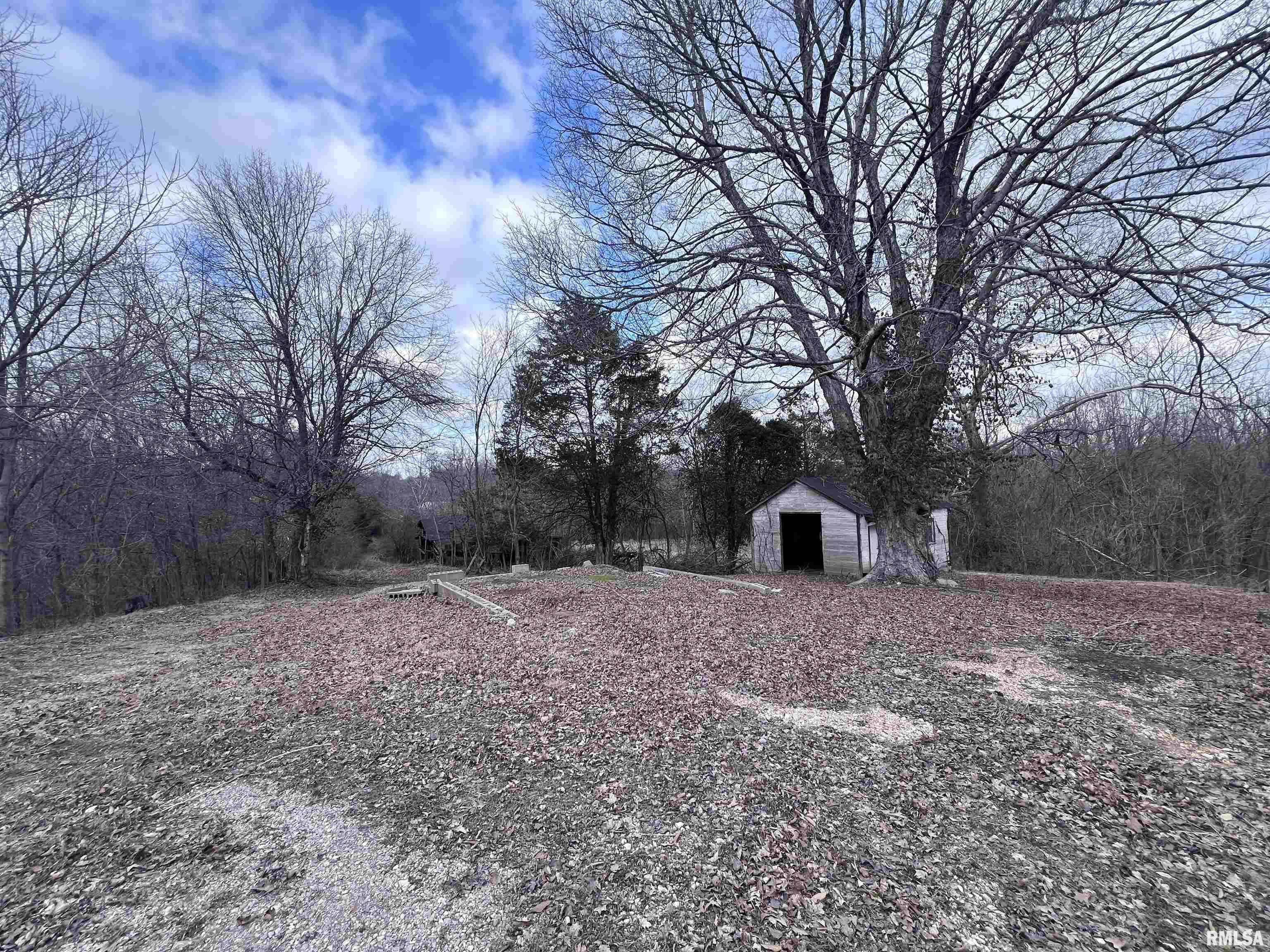 315 Vines Road, Cobden, Illinois image 20