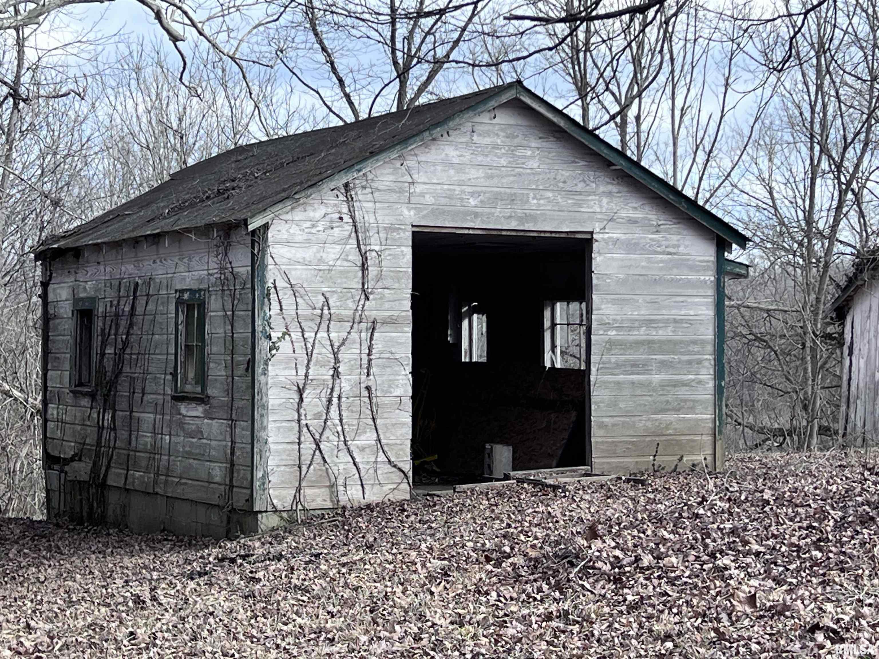 315 Vines Road, Cobden, Illinois image 10