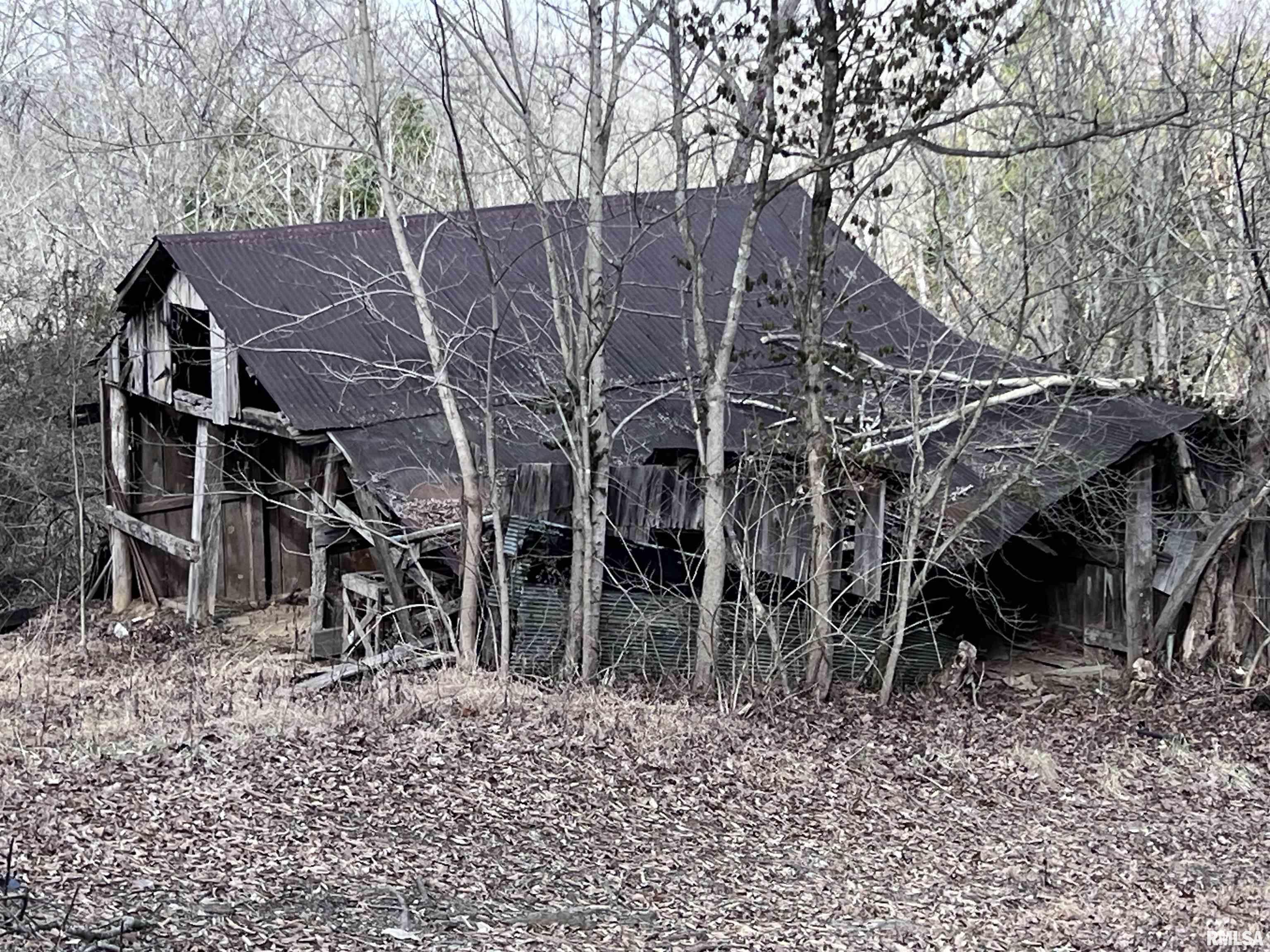 315 Vines Road, Cobden, Illinois image 12