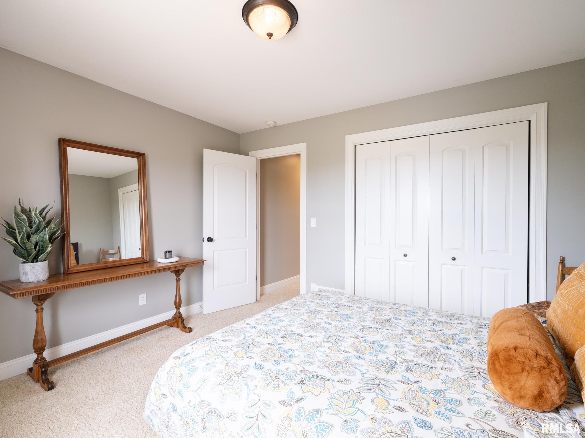 904 Mallard Way, Washington, Illinois image 33