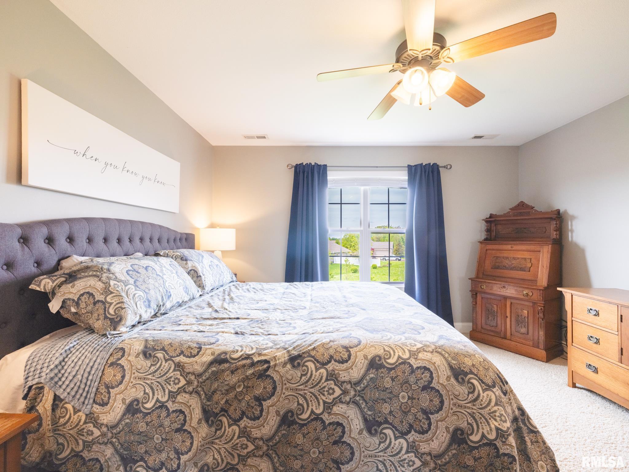 904 Mallard Way, Washington, Illinois image 25