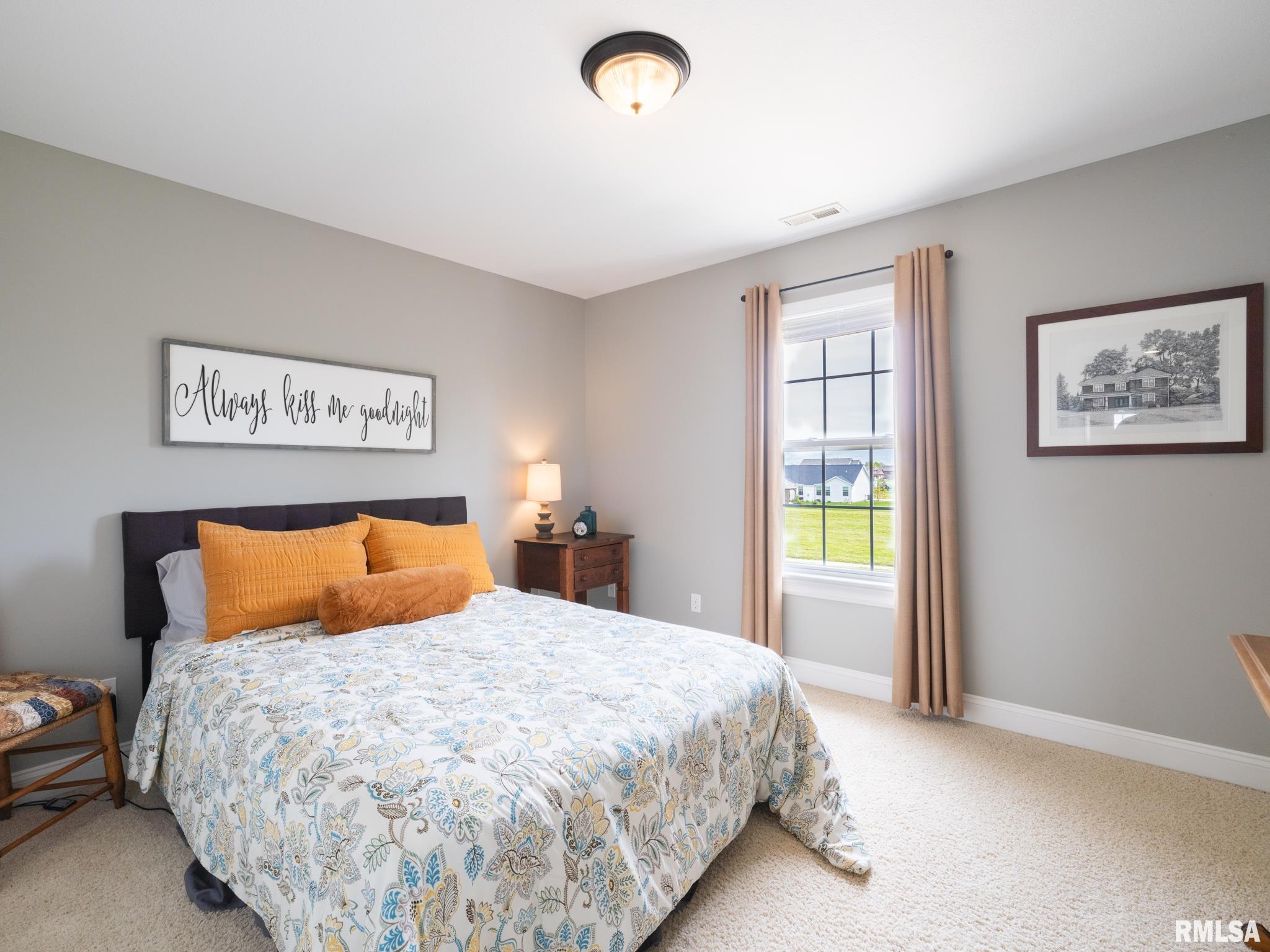 904 Mallard Way, Washington, Illinois image 36