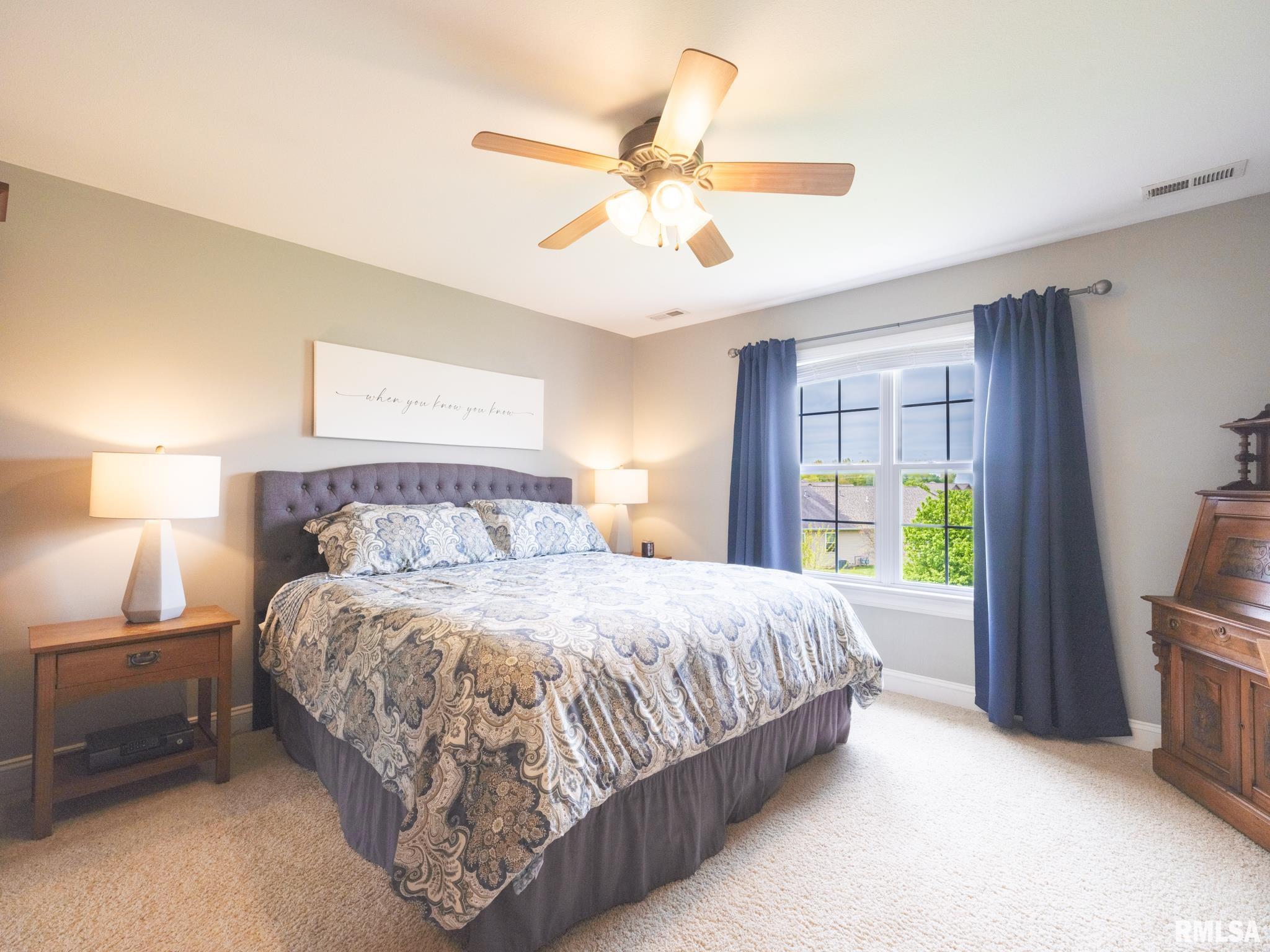 904 Mallard Way, Washington, Illinois image 23