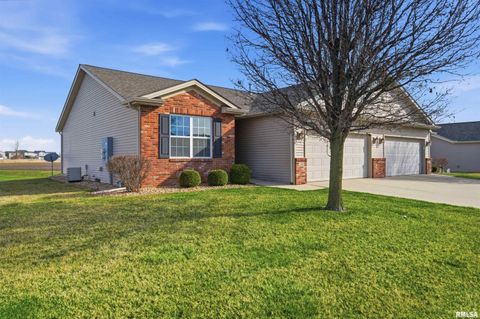 Homes For Sale - 1423 Calvin Drive<br/> Tazewell County, Washington, IL 61571