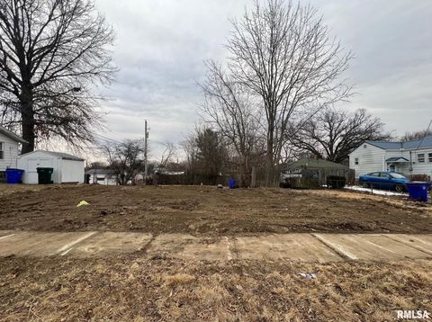 Vacant Land For Sale - 632 S 17th Street<br/> Macon County, Decatur, IL 62521