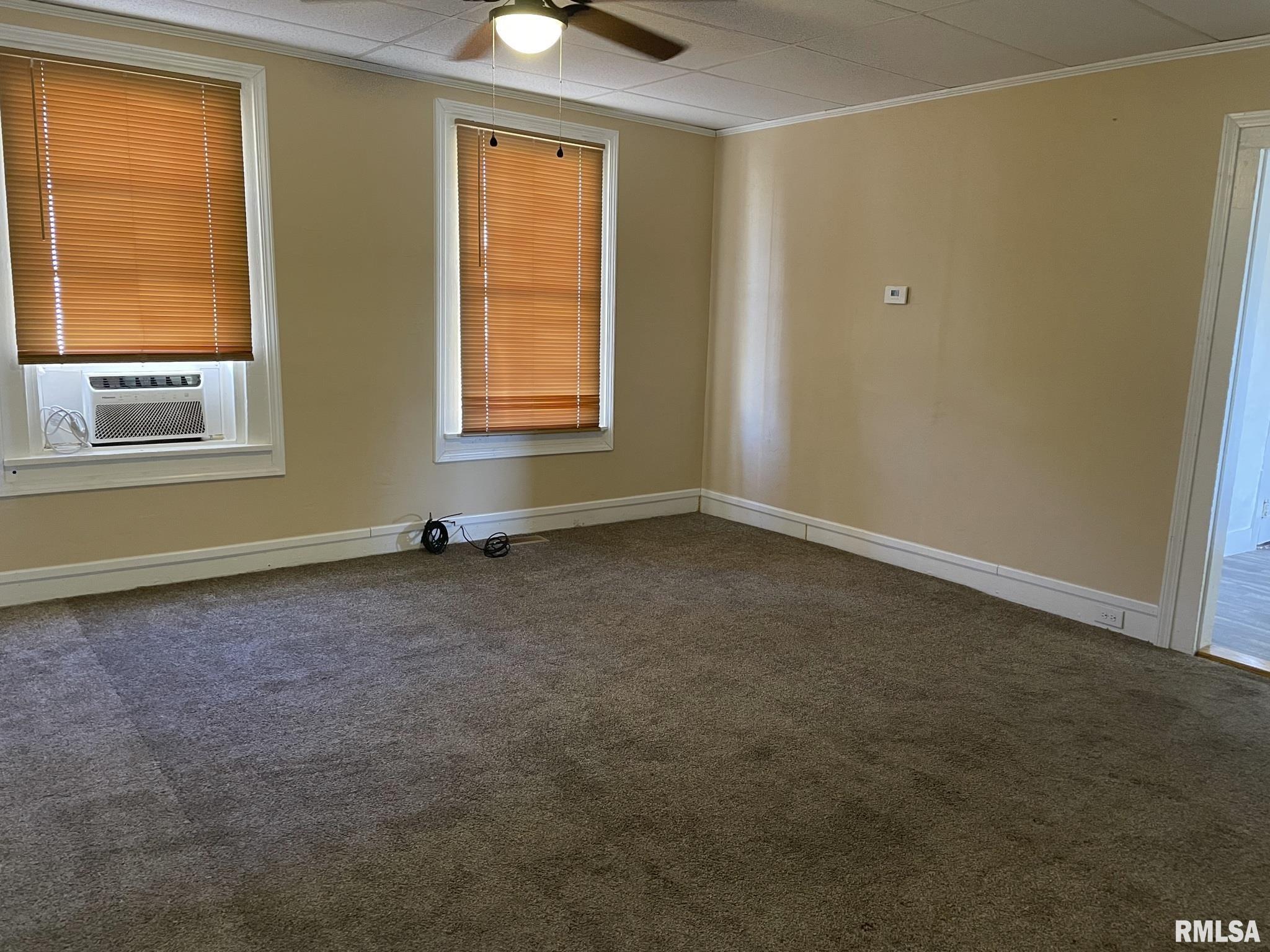 529 S Schrader Street, Havana, Illinois image 3