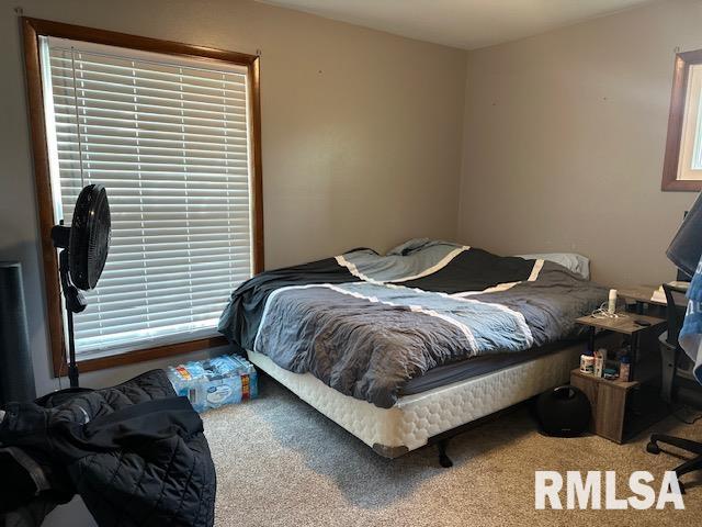 137 Chestnut Street, Jacksonville, Illinois image 13
