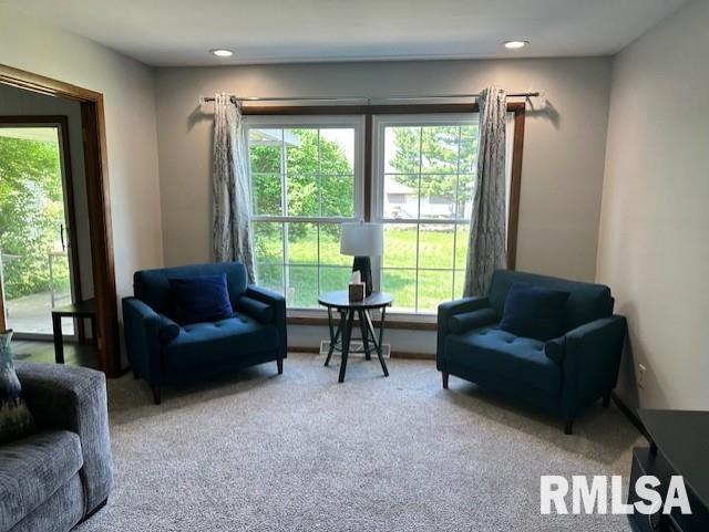 137 Chestnut Street, Jacksonville, Illinois image 3