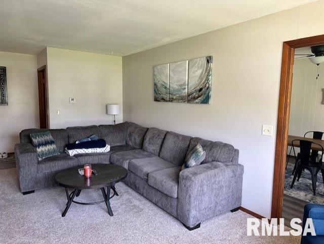 137 Chestnut Street, Jacksonville, Illinois image 4