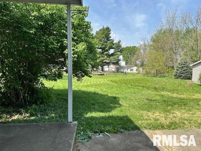 137 Chestnut Street, Jacksonville, Illinois image 27
