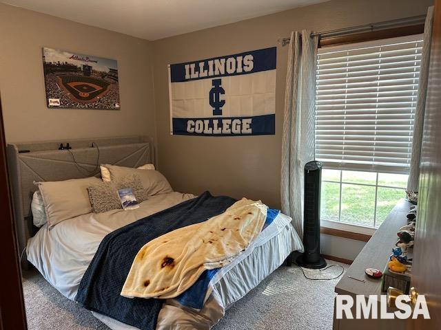 137 Chestnut Street, Jacksonville, Illinois image 16
