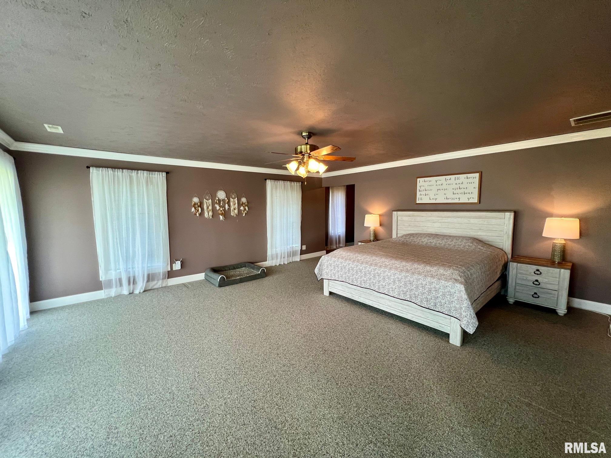 121 North Shore Drive, Petersburg, Illinois image 23