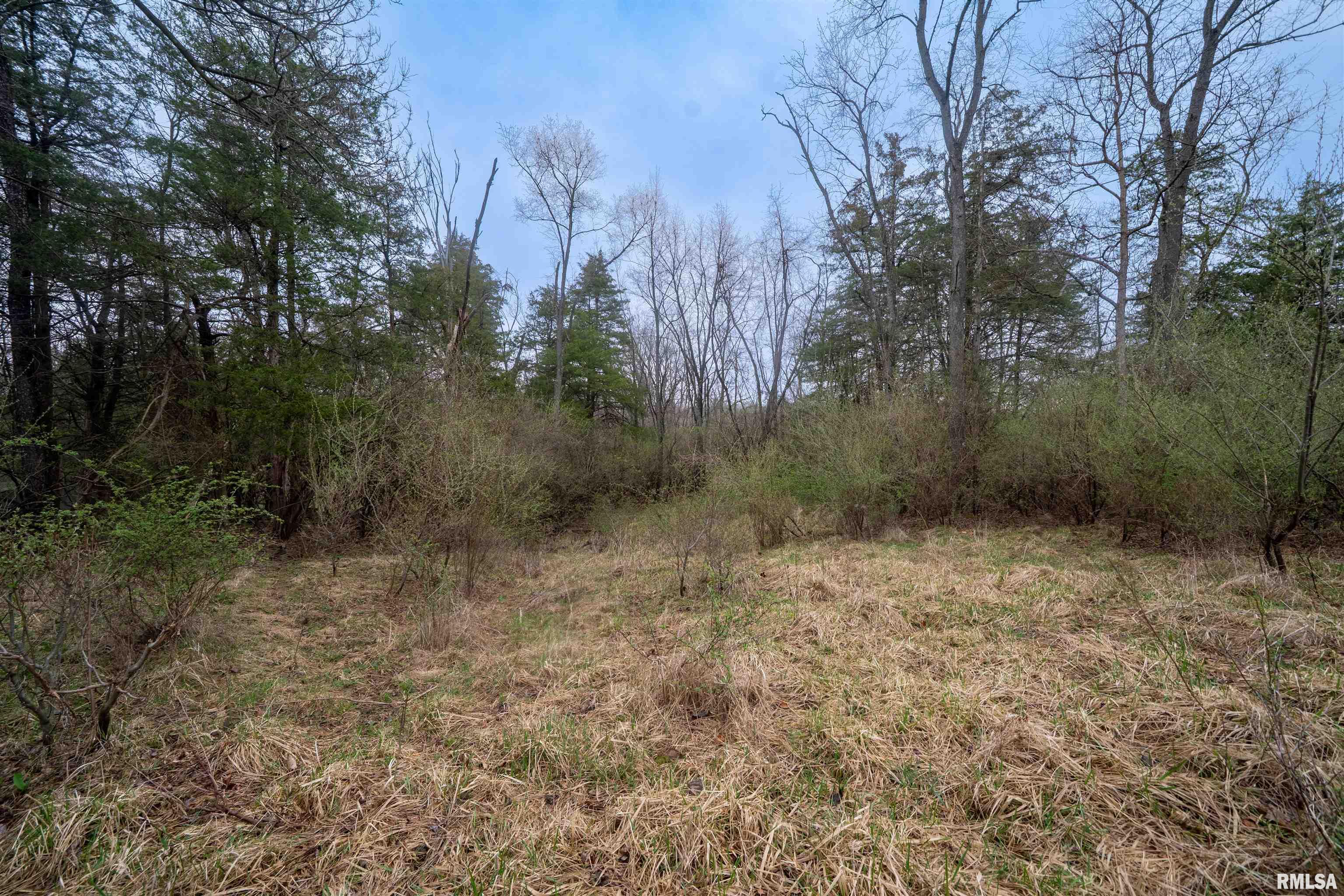 1525 Deer Path, Metamora, Illinois image 7