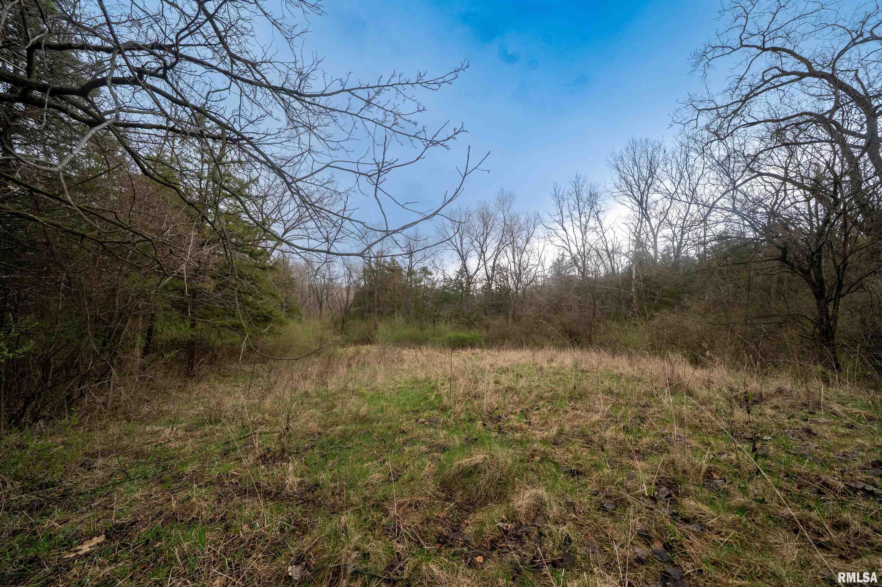 1525 Deer Path, Metamora, Illinois image 5