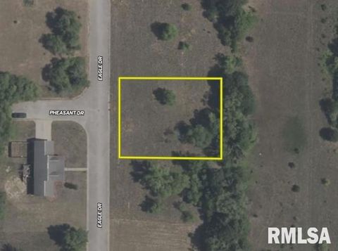 Vacant Land For Sale - 318 Eagle Drive<br/> Meredosia, IL 62665