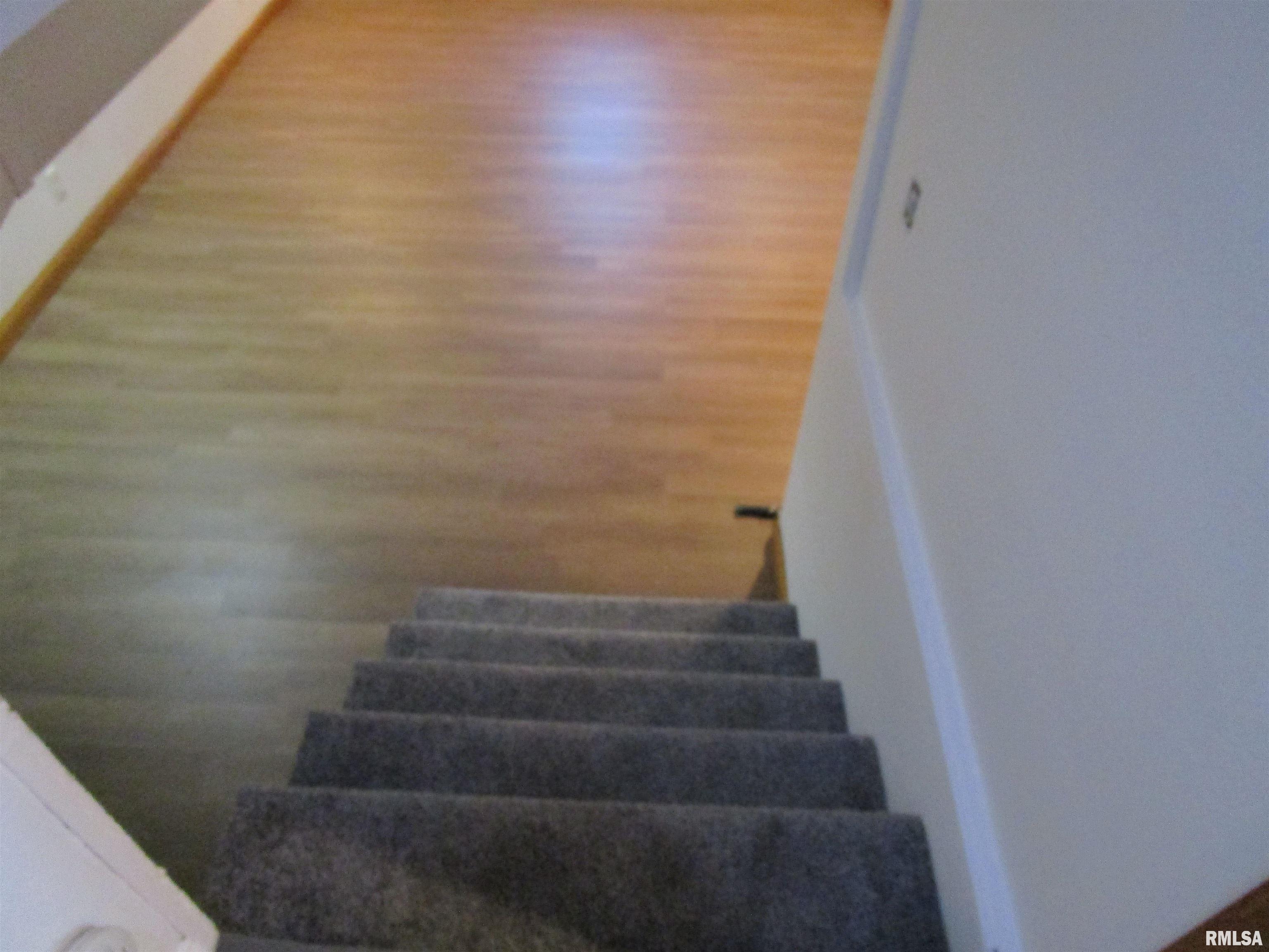 55 Palomino Road, Springfield, Illinois image 27