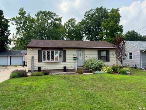 Homes For Sale - 830 Olive Street<br/> Knox County, Galesburg, IL 61401