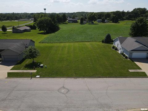 Vacant Land For Sale - LOT 6 Parkview Drive<br/> Woodford County, Eureka, IL 61530