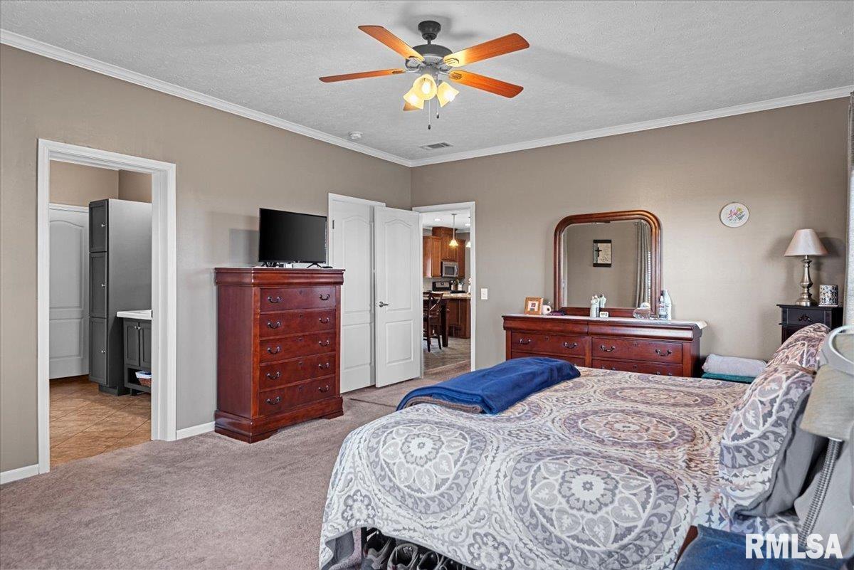 2137 E 700 N Road, Pana, Illinois image 21