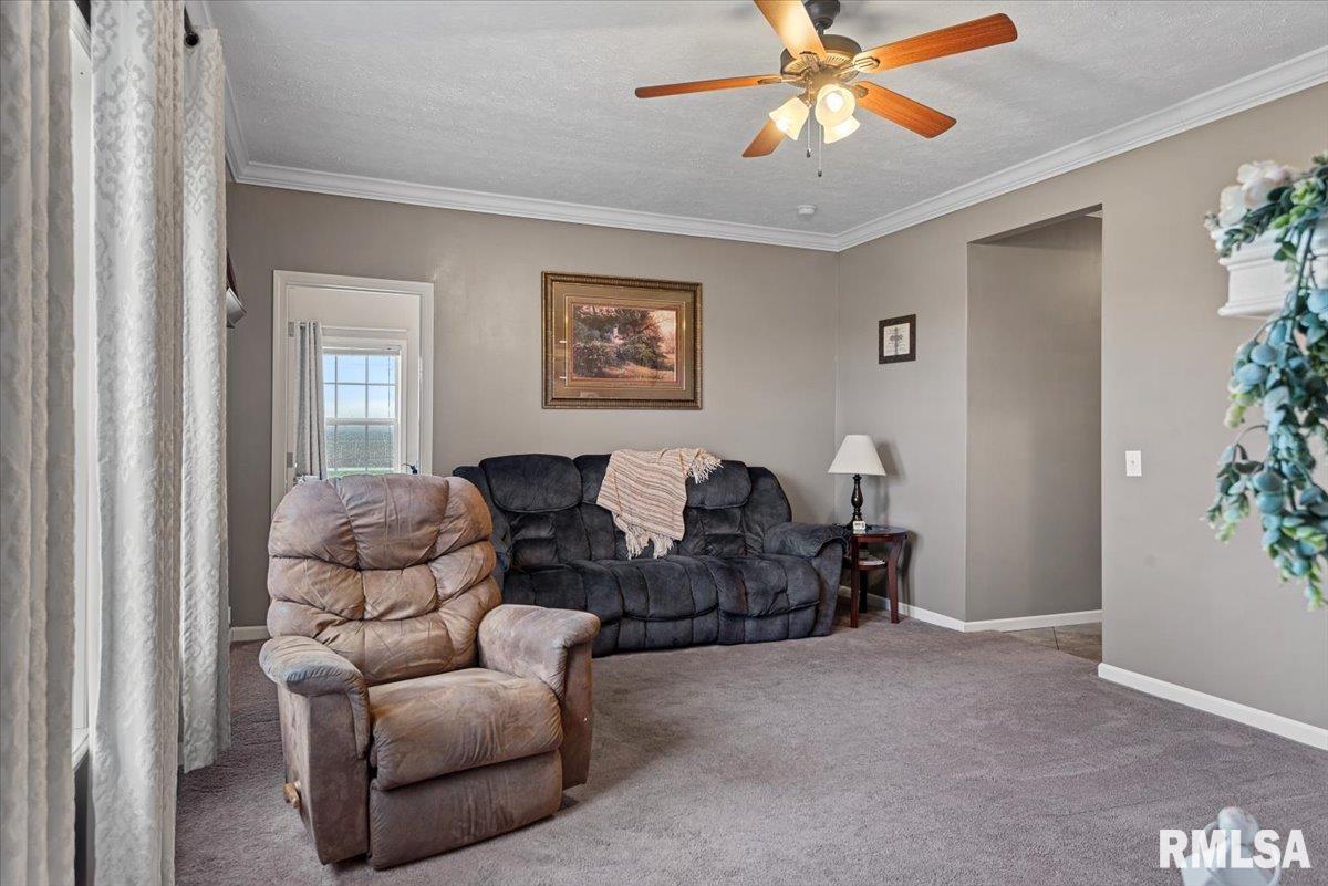 2137 E 700 N Road, Pana, Illinois image 33