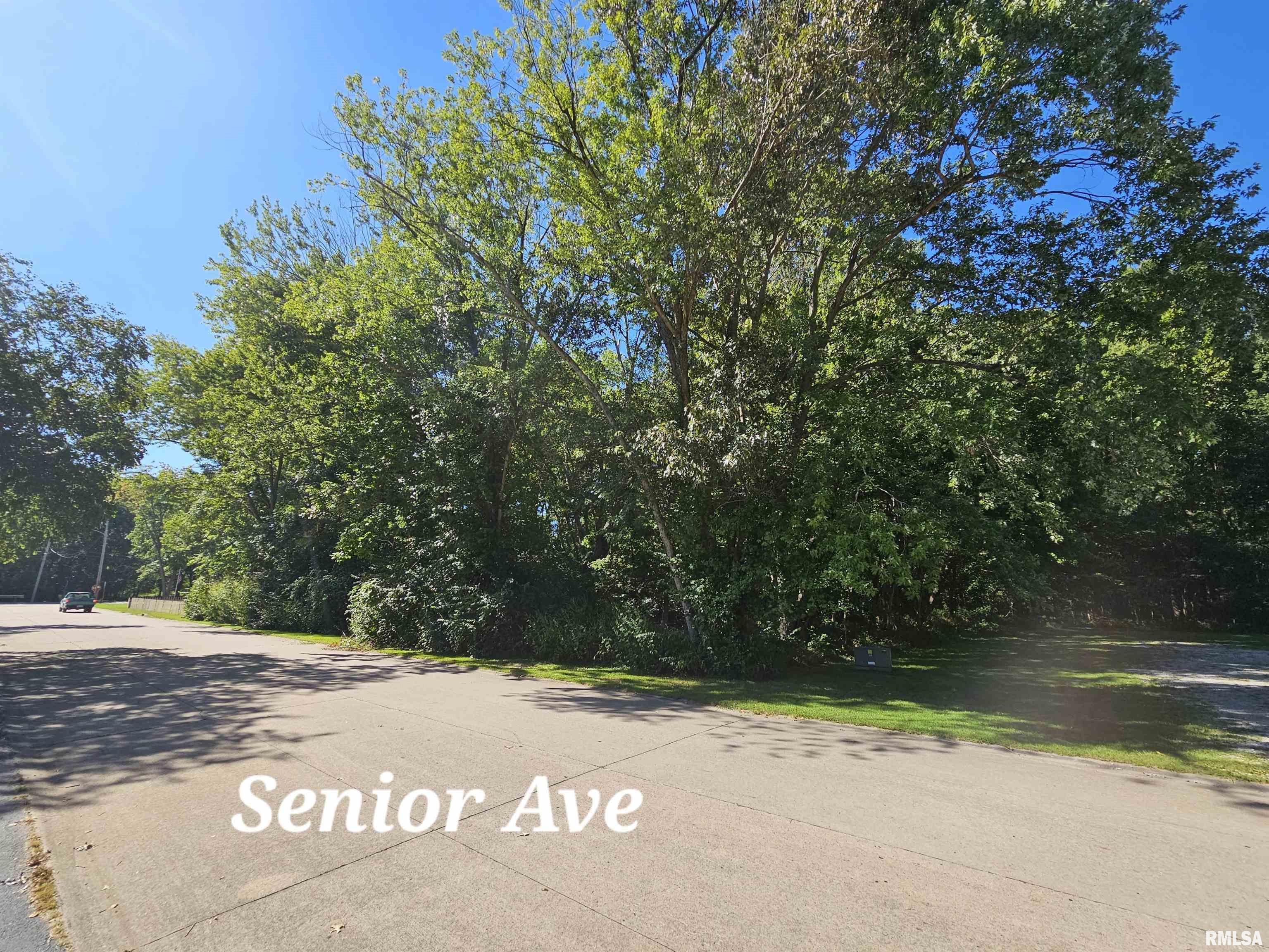 TBD Senior Avenue, Vienna, Illinois image 1