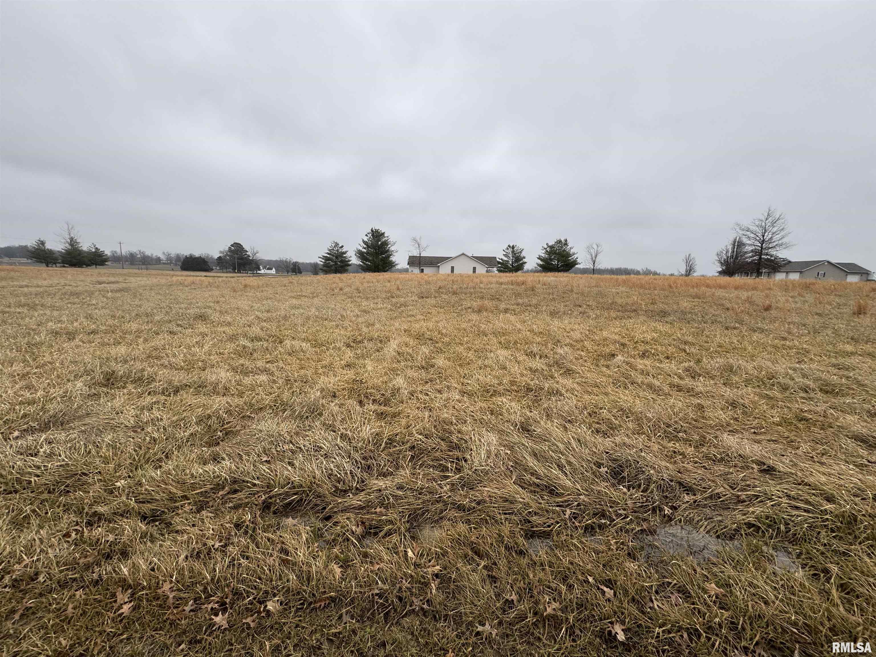 Lot 12 Dove Lane, Eldorado, Illinois image 1