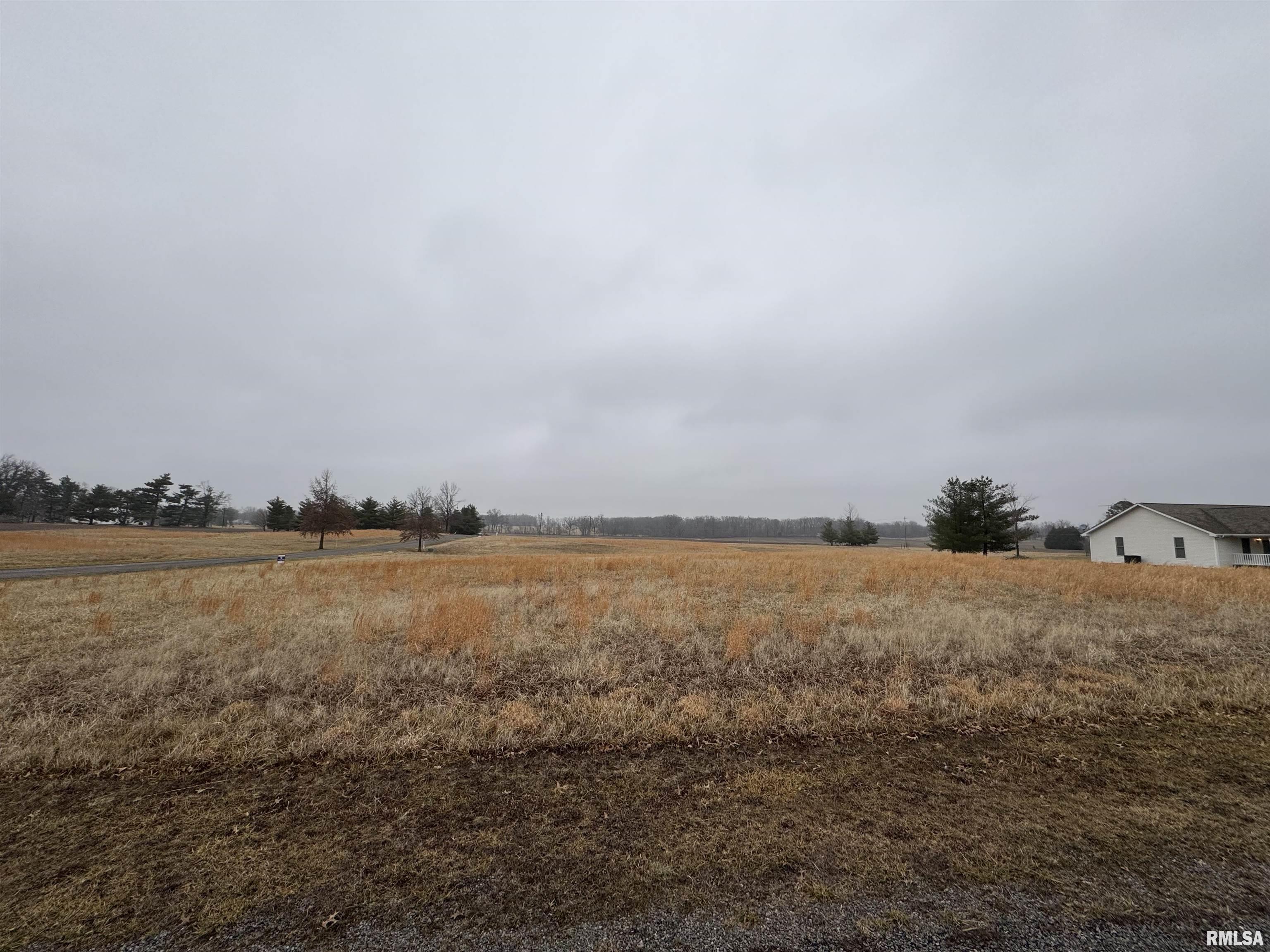 Lot 12 Dove Lane, Eldorado, Illinois image 3