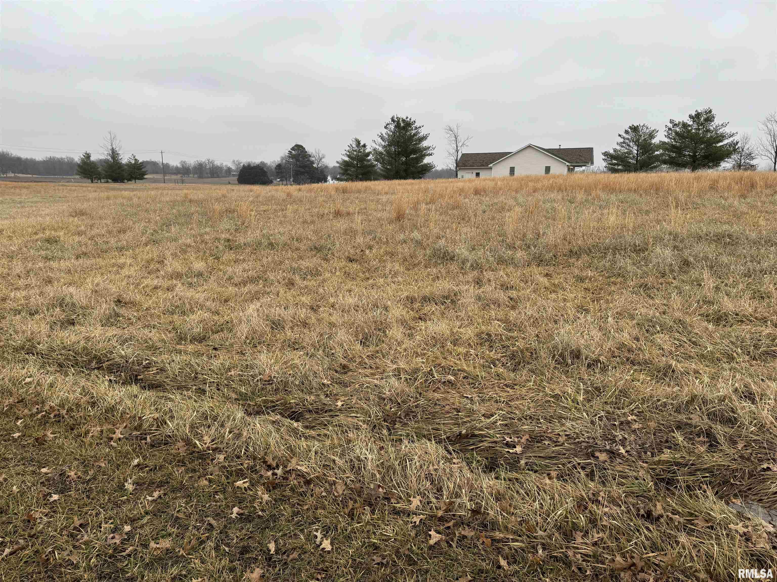 Lot 12 Dove Lane, Eldorado, Illinois image 2