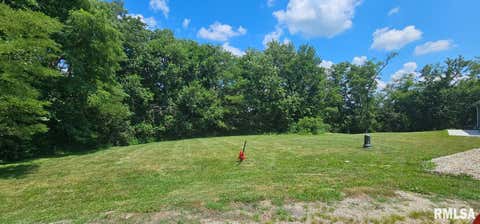 Vacant Land For Sale - 301 Cottonwood Court<br/> Knox County, Williamsfield, IL 61489