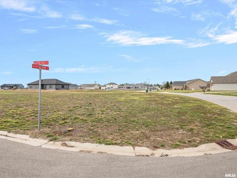 Vacant Land For Sale - 401 Manor Hill Drive<br/> Sangamon County, Chatham, IL 62629