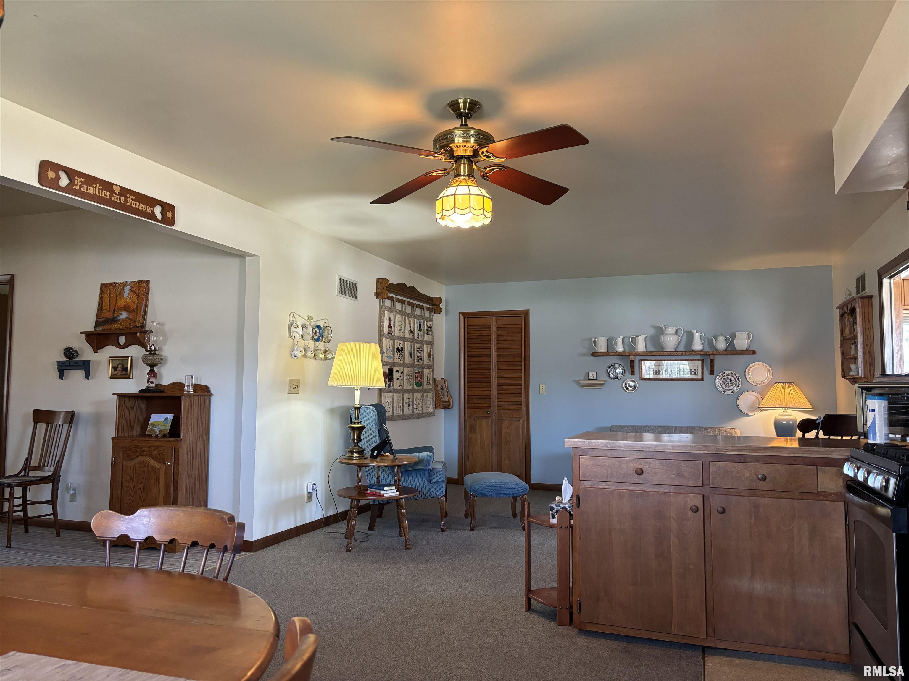 317 N High Street, Lacon, Illinois image 17