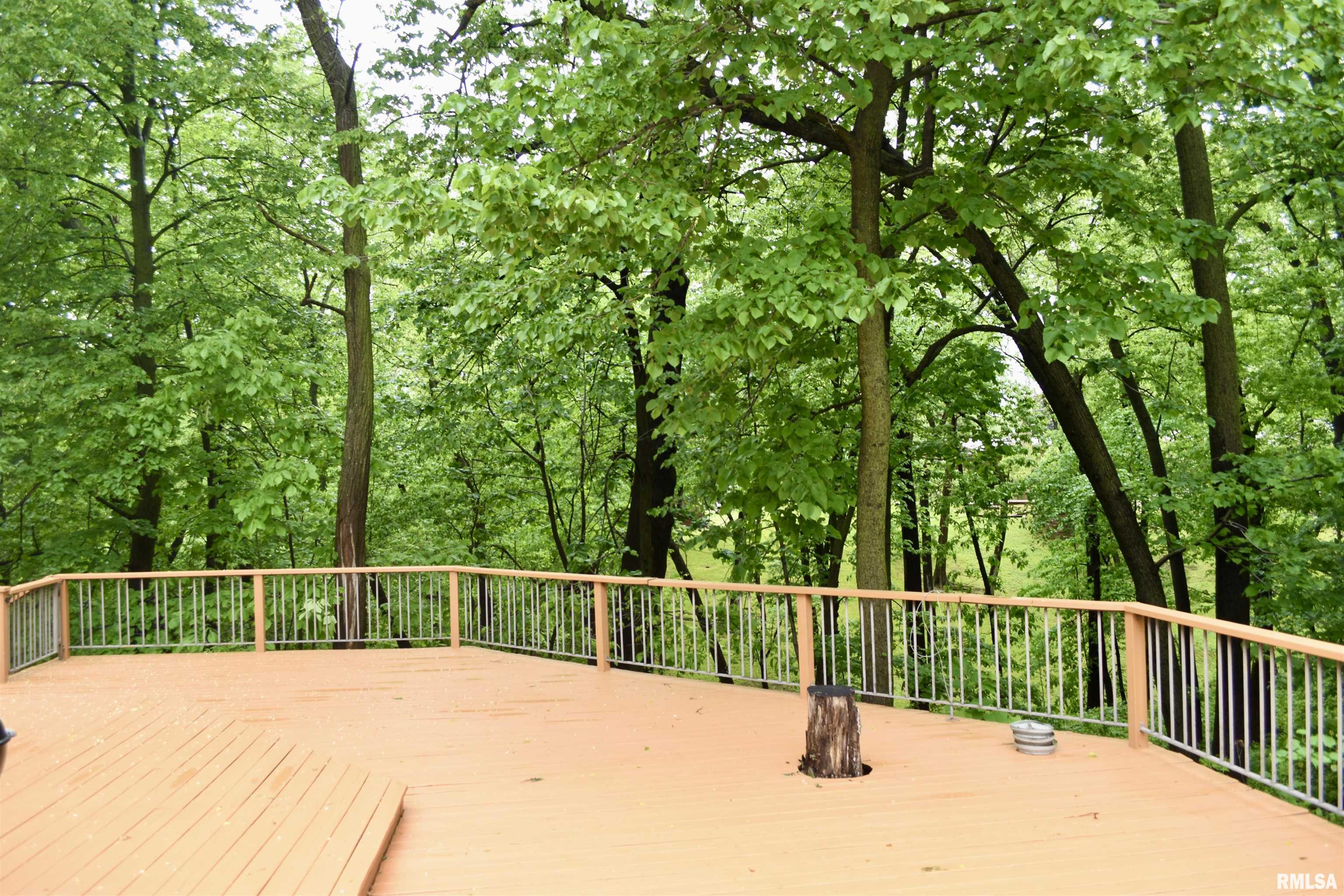1229 35th Avenue, Moline, Illinois image 37