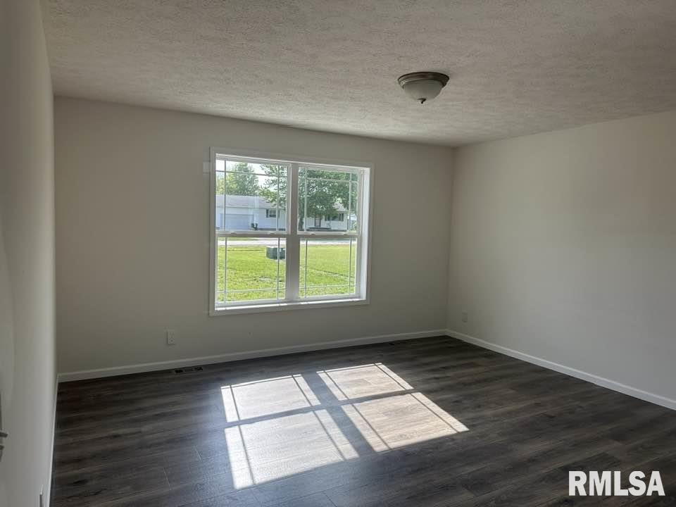 310 N Main Street, Camp Point, Illinois image 5