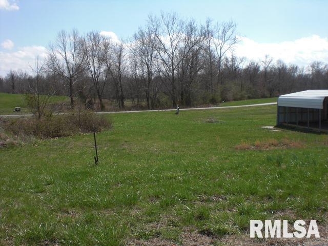 5651 Arctic Fox Drive, Carterville, Illinois image 1