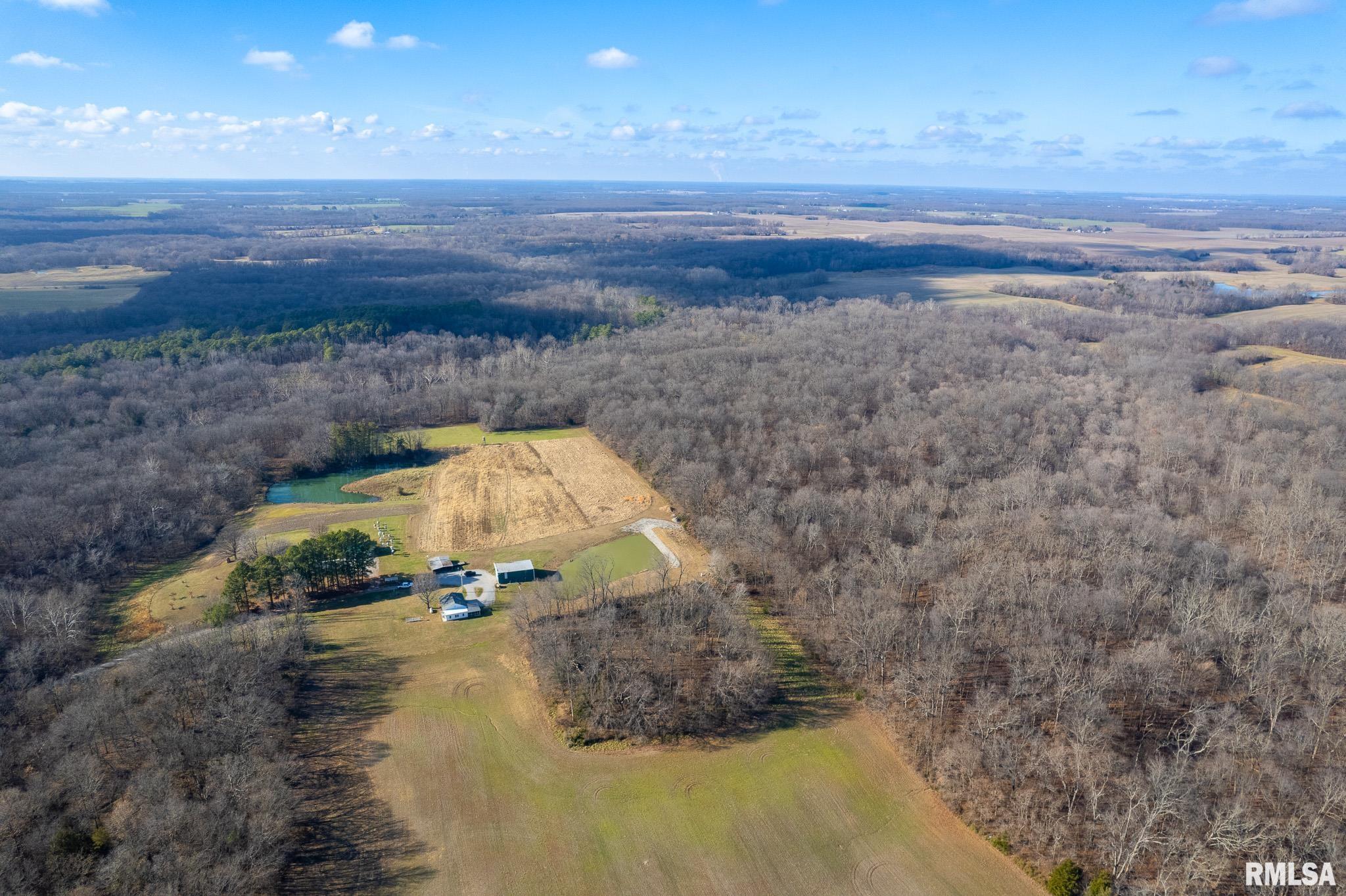 4868 Foxtail Ln Lane, Tamaroa, Illinois image 39