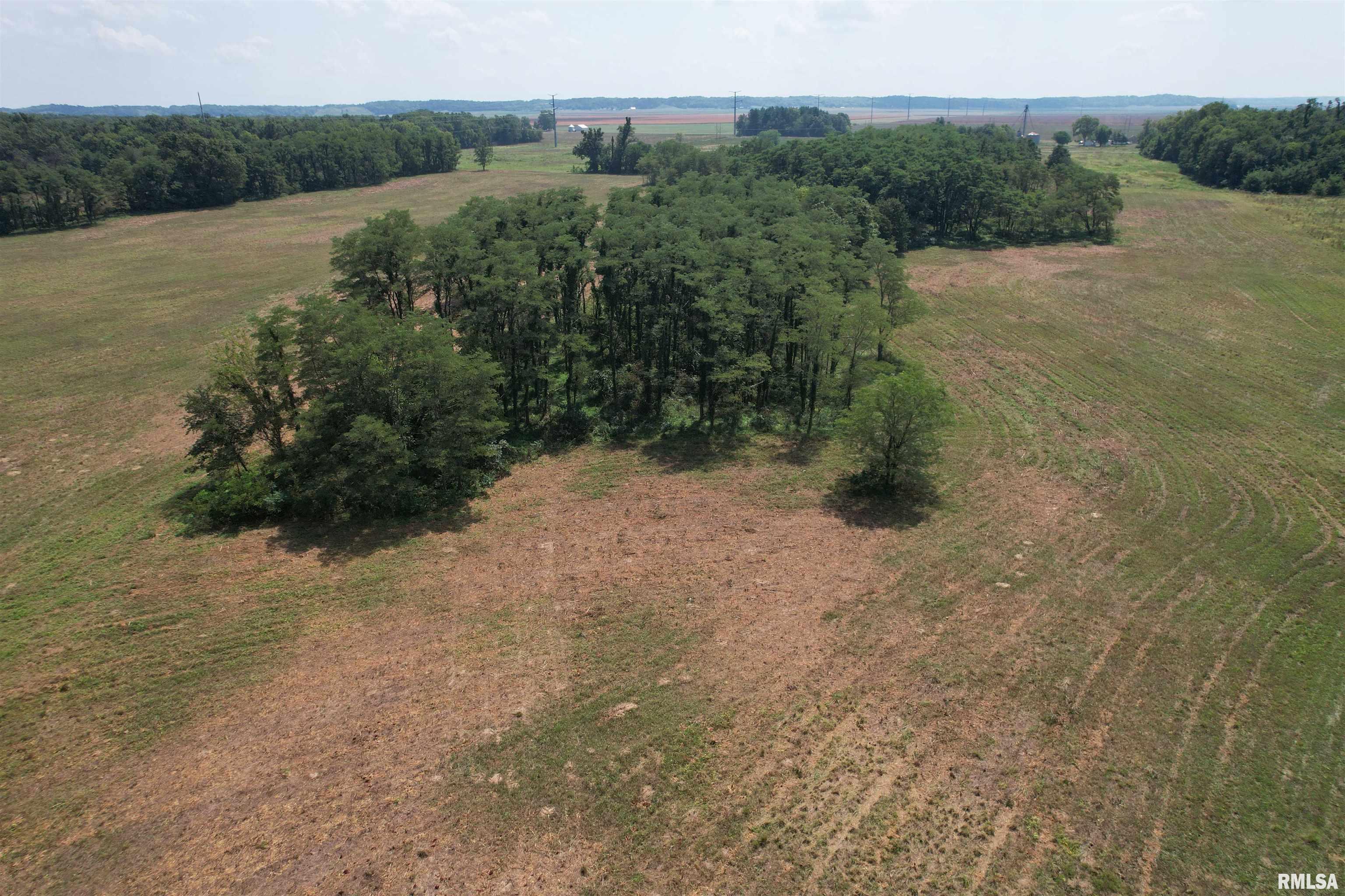 Morgan Cass County Line Road, Meredosia, Illinois image 13