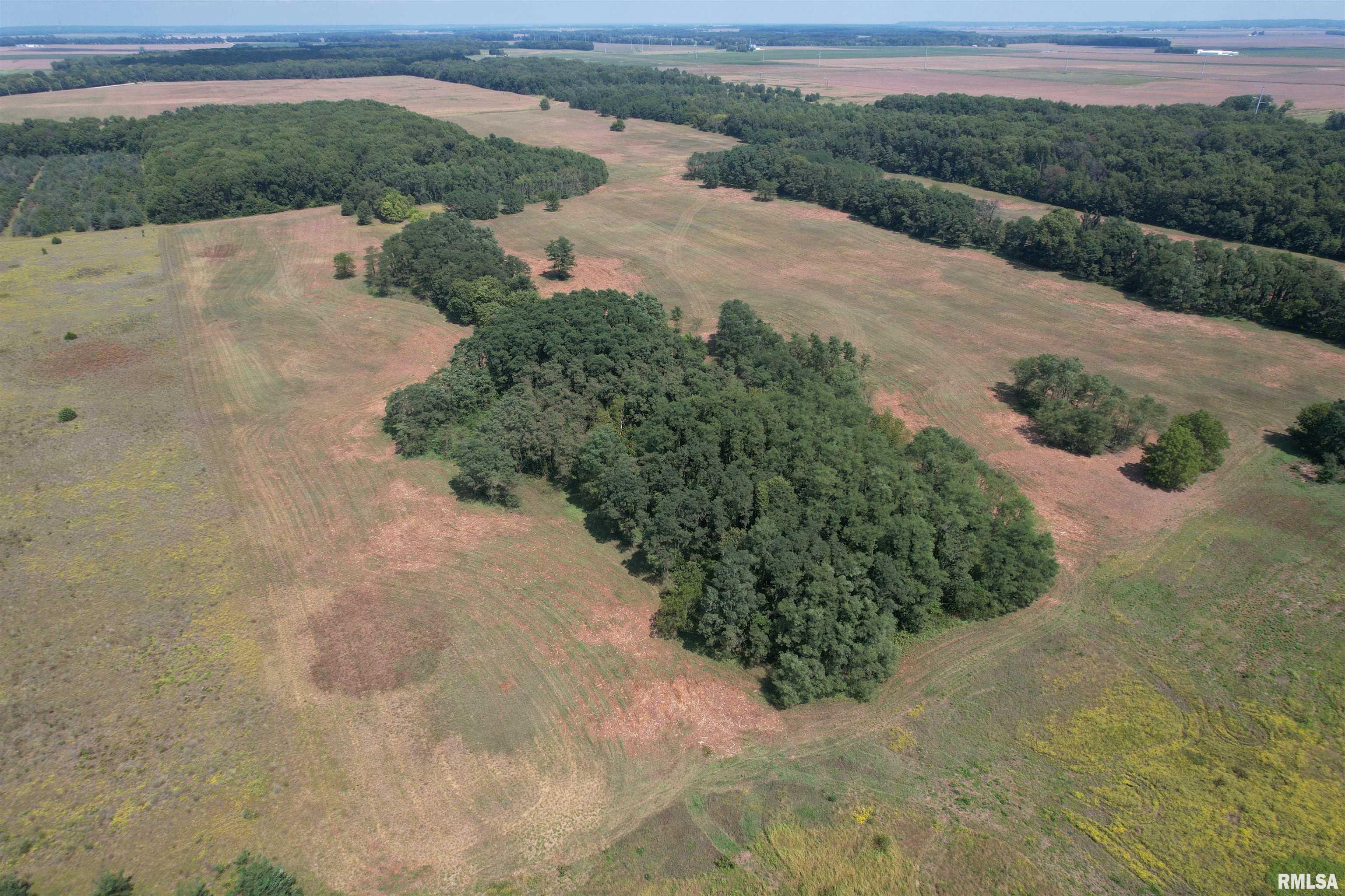 Morgan Cass County Line Road, Meredosia, Illinois image 3