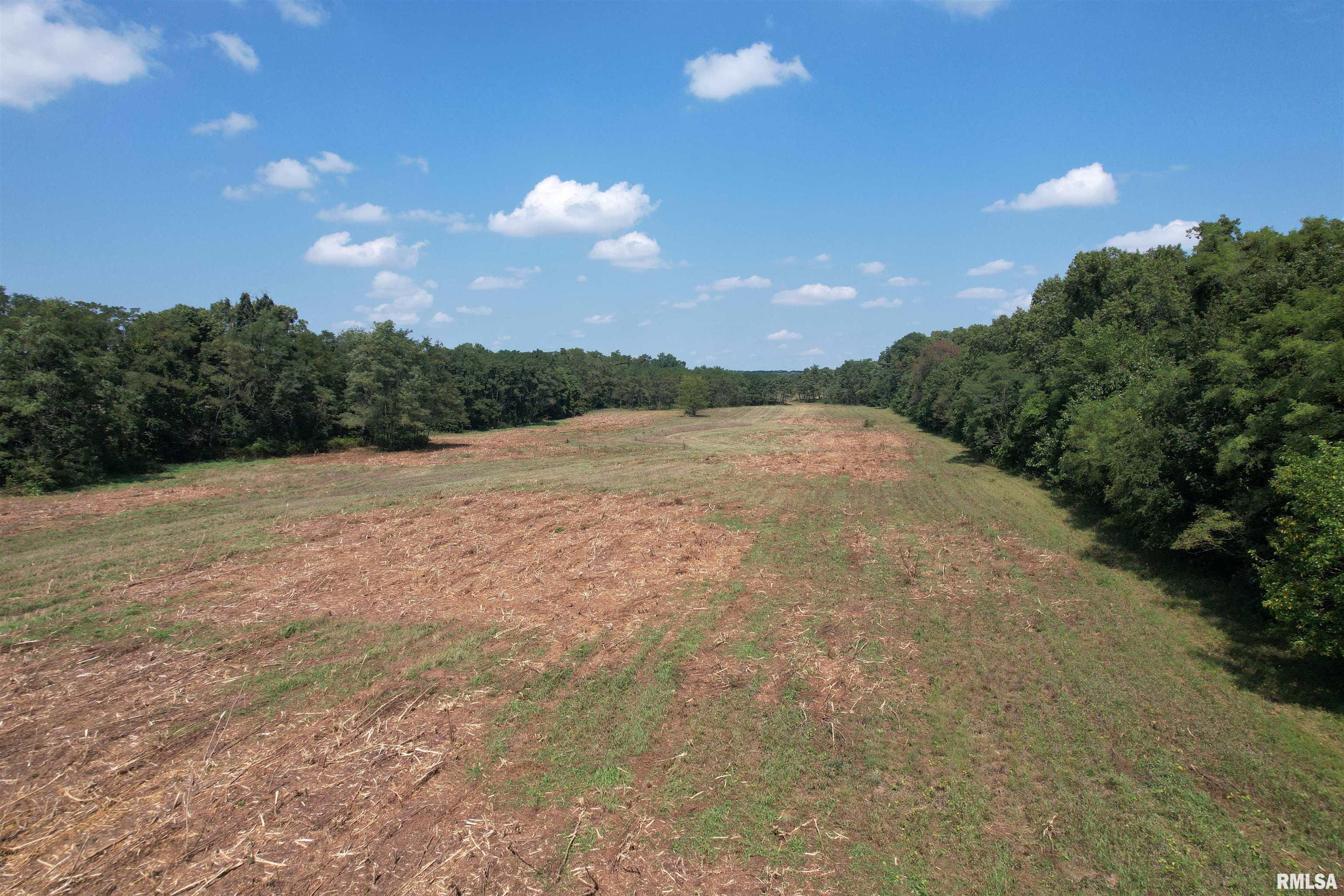 Morgan Cass County Line Road, Meredosia, Illinois image 9