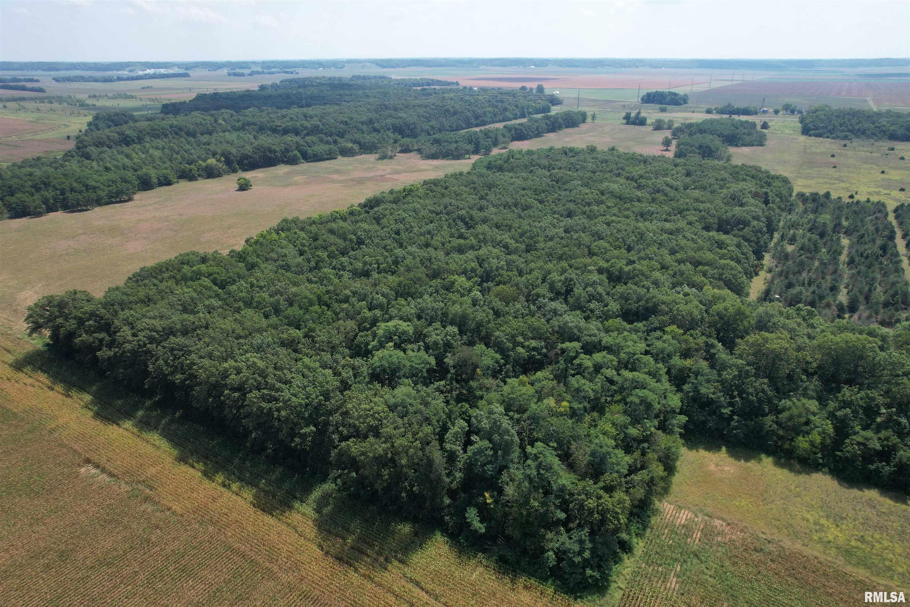 Morgan Cass County Line Road, Meredosia, Illinois image 6