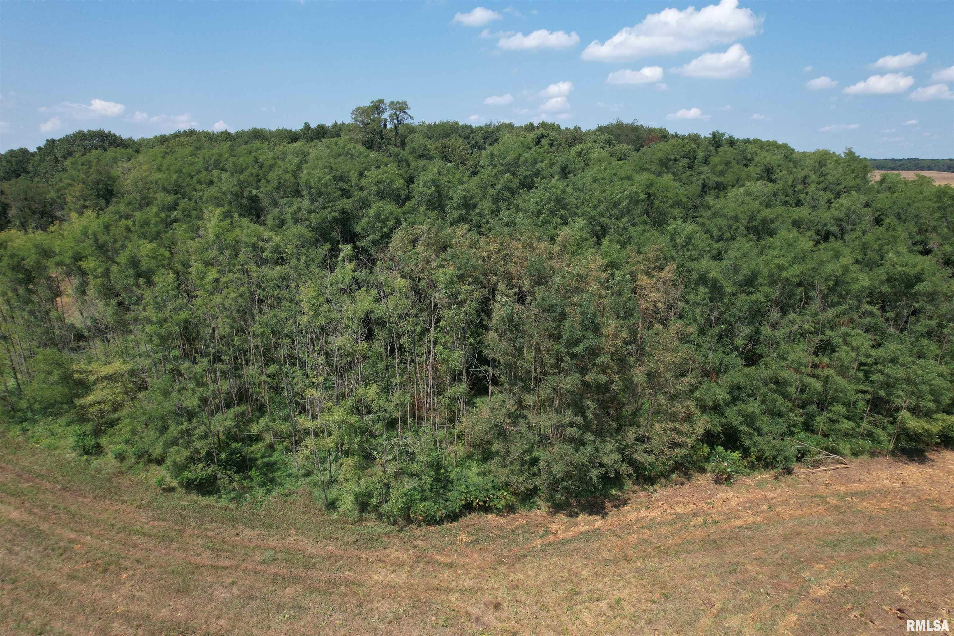 Morgan Cass County Line Road, Meredosia, Illinois image 15