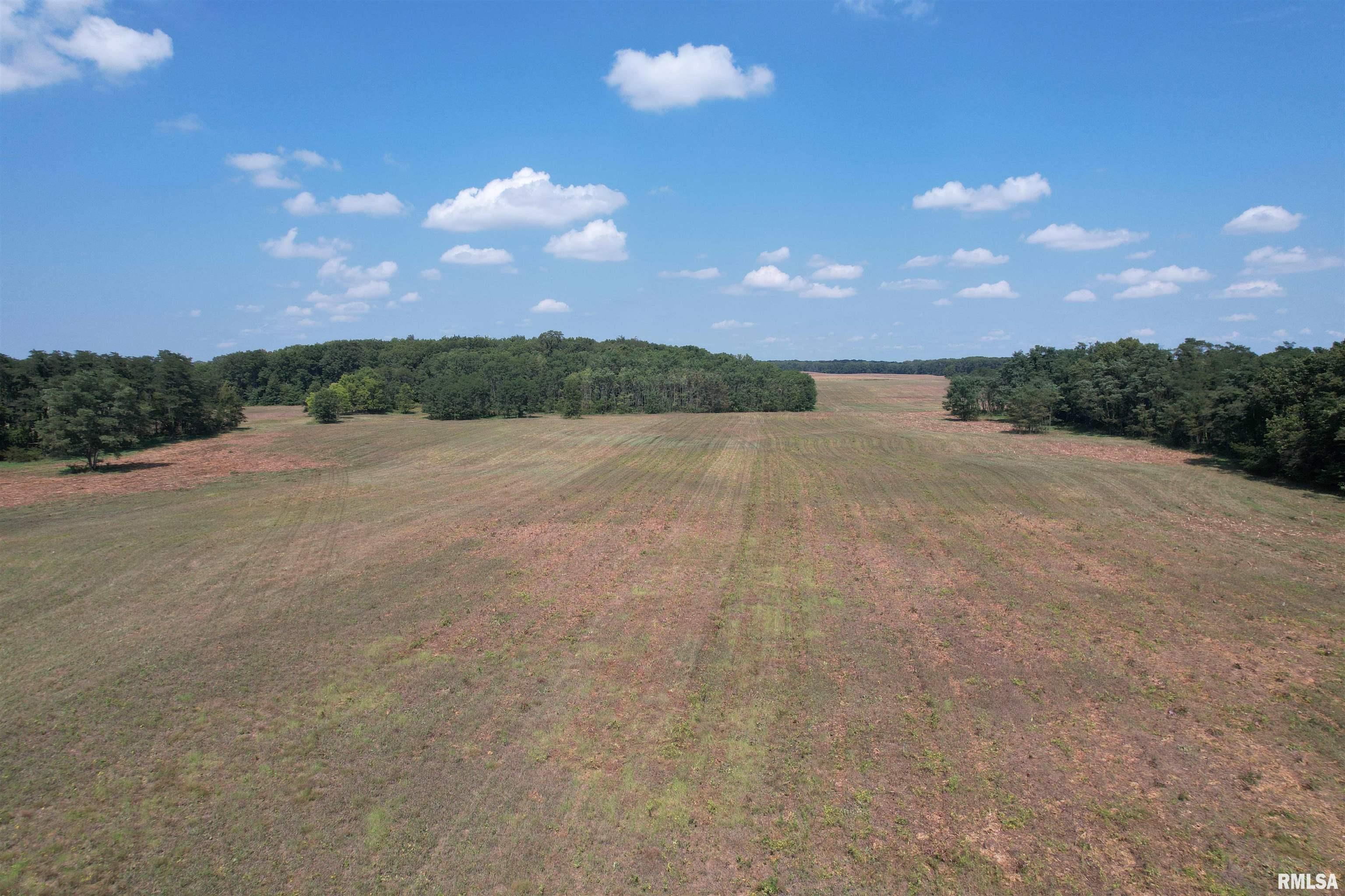 Morgan Cass County Line Road, Meredosia, Illinois image 11