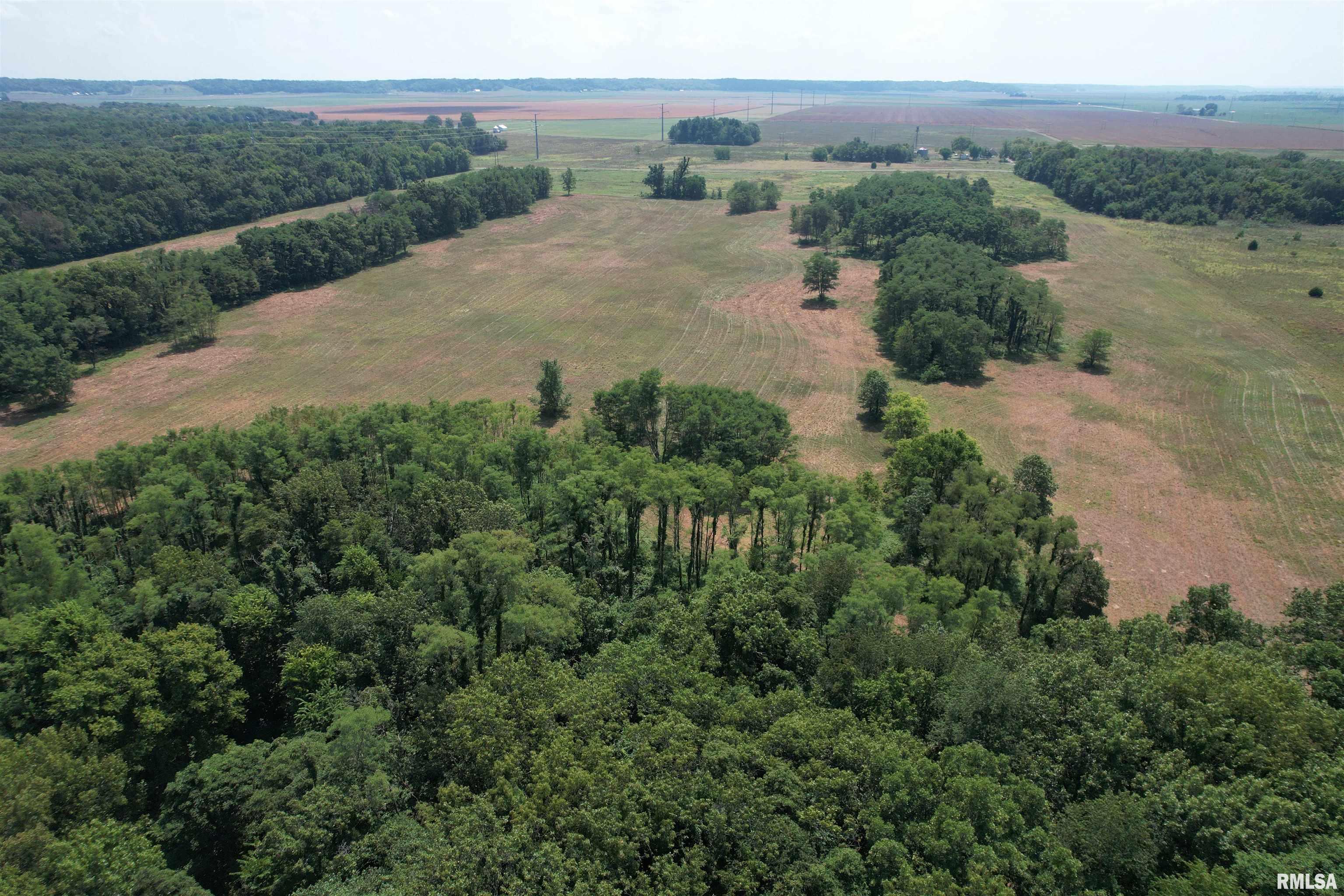 Morgan Cass County Line Road, Meredosia, Illinois image 7