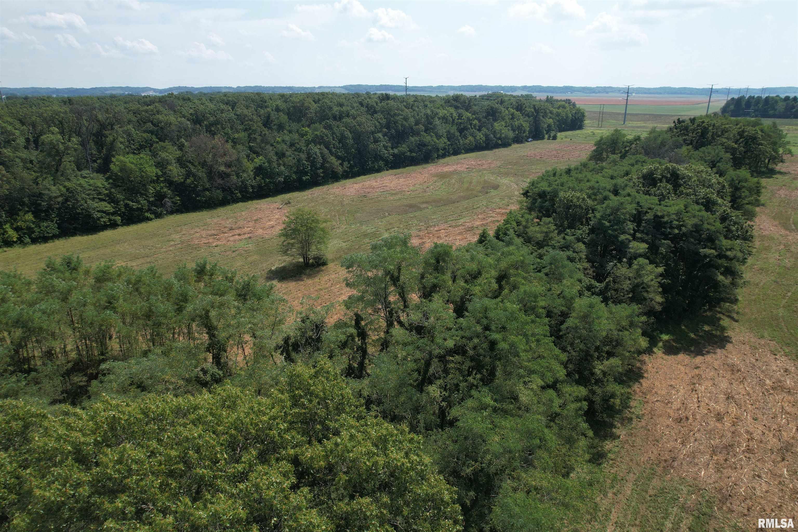 Morgan Cass County Line Road, Meredosia, Illinois image 8