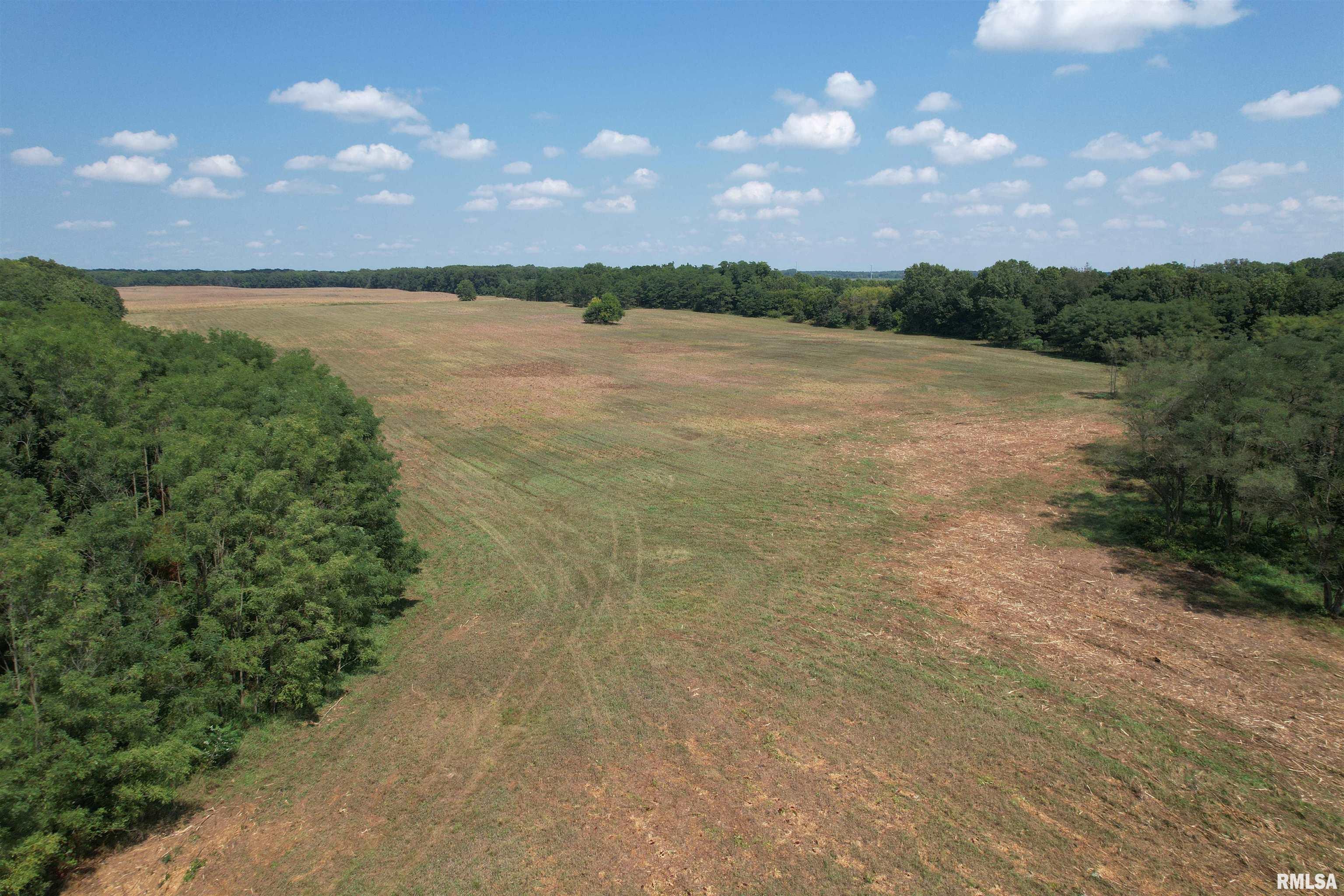 Morgan Cass County Line Road, Meredosia, Illinois image 10