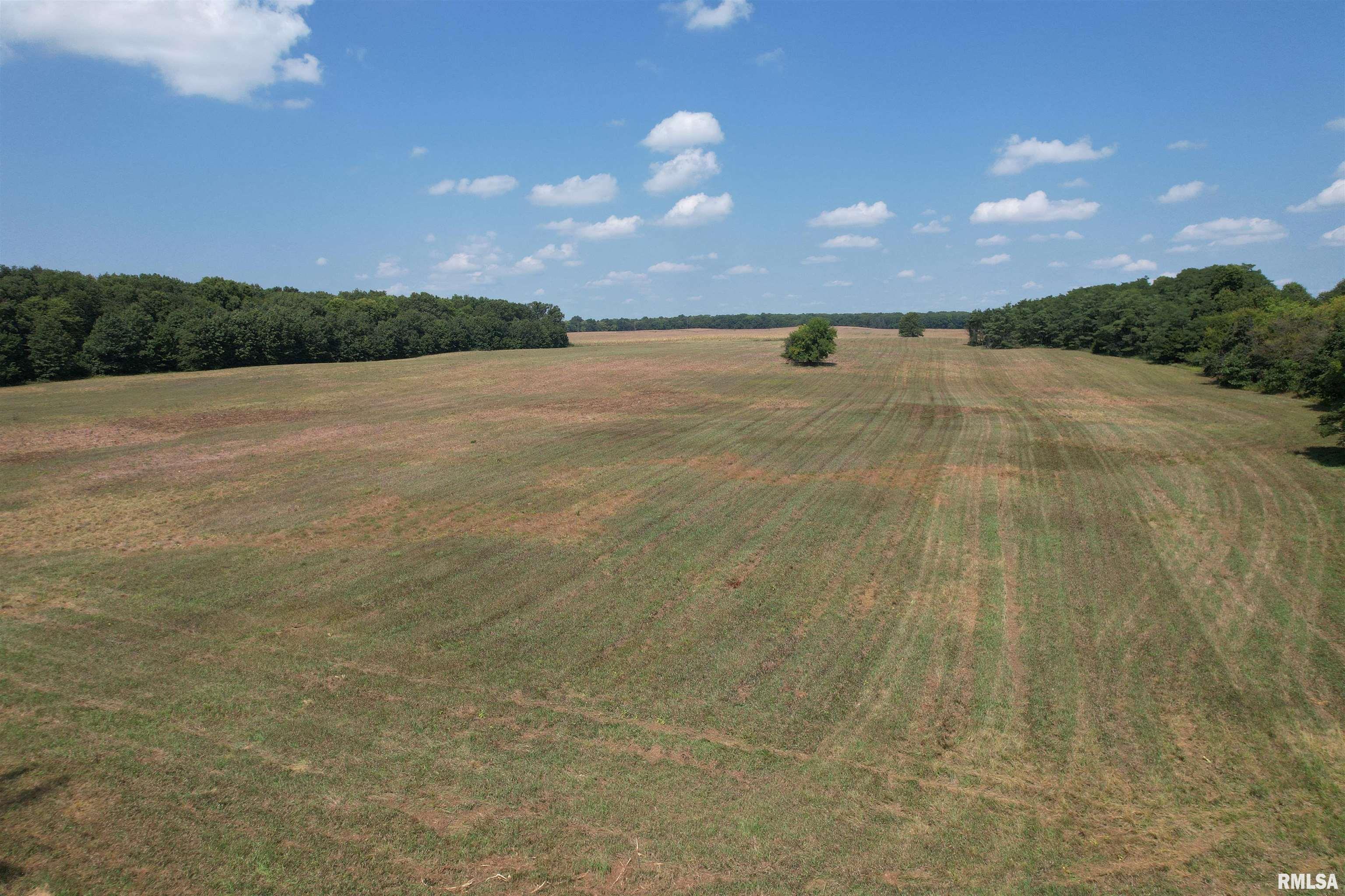 Morgan Cass County Line Road, Meredosia, Illinois image 12